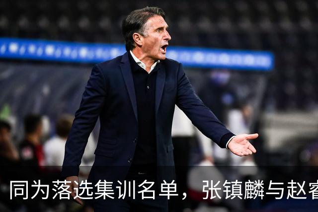同为落选集训名单，张镇麟与赵睿的境遇差异何在？